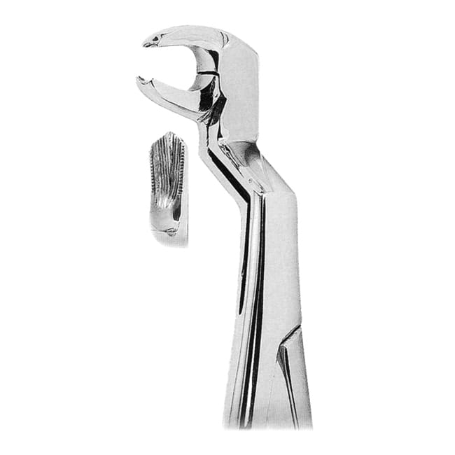 Extracting Forceps Extracting Forceps