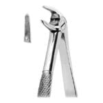 Extracting Forceps
