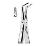 Extracting Forceps