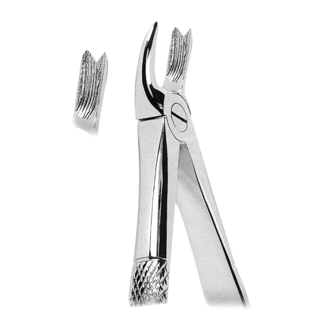 Extracting Forceps Extracting Forceps