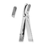 Extracting Forceps- Mead Pattern