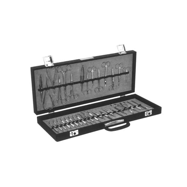 Presentation Presentation